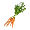 carrot_raw