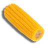 corn-n-the-cob