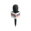 news_mic