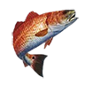 o_redfish