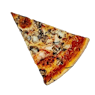 pp_champignons