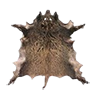 skin_boar