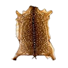 skin_deer