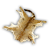 skin_deer_ruined