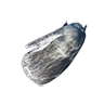 skin_whale