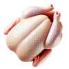 slaughtered_chicken